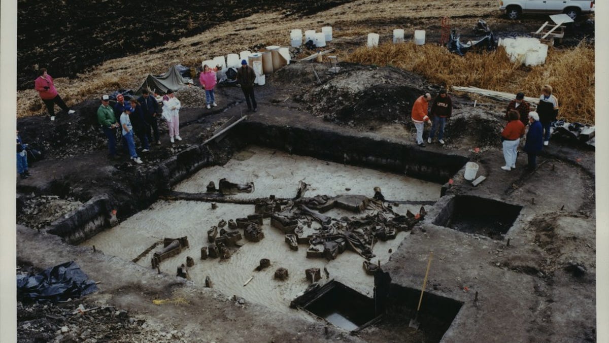 Featured image for "Lost World: Wisconsin's Prehistoric Extinct Animals Revealed"