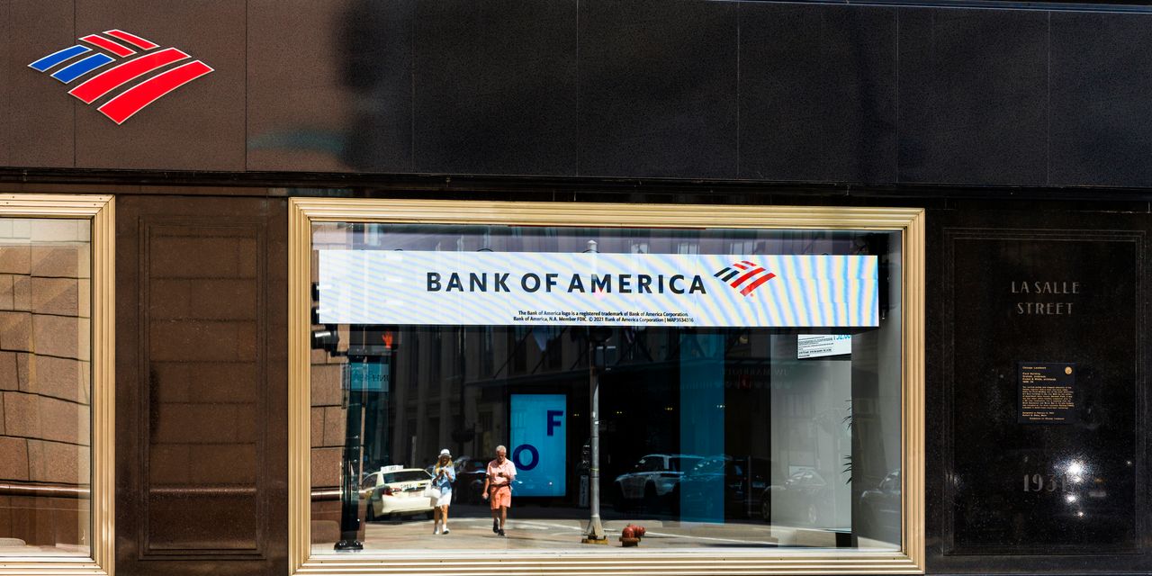 The Decline of Small-Business Lending and Borrowers' Avoidance of Sanctioned Loans