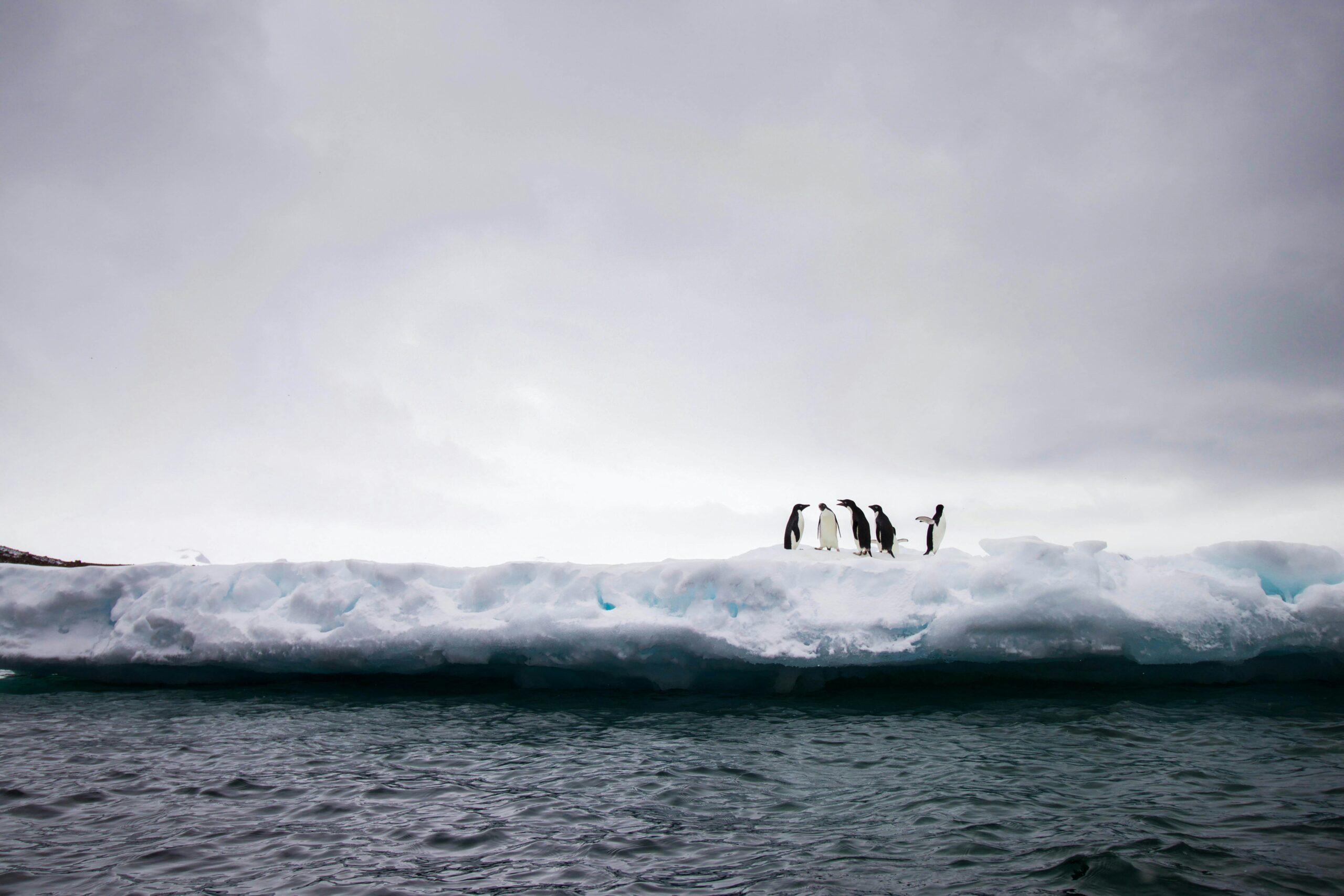 Featured image for Antarctica's Rapid Changes Signal Urgent Climate Crisis