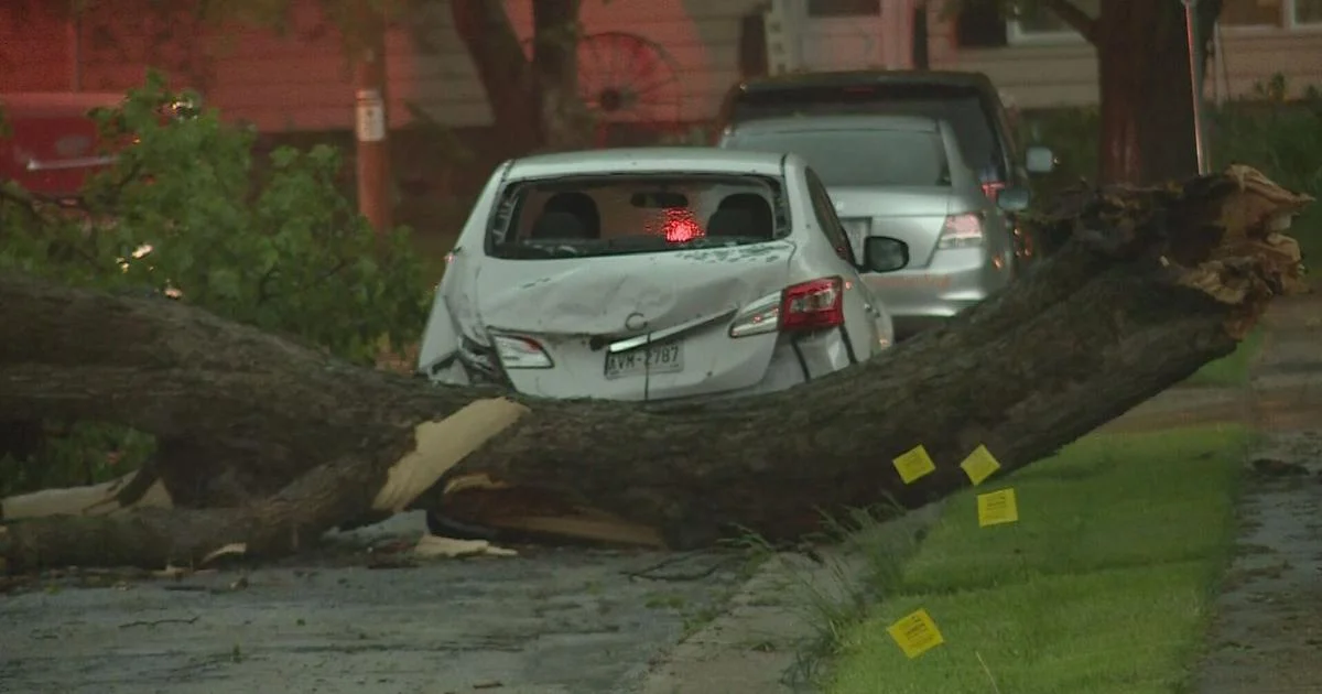 Featured image for "Power Restored to Most MGE Customers After Severe Storms in Wisconsin"
