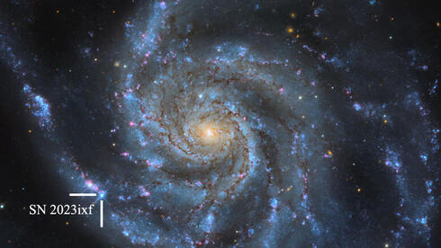 Featured image for "Israeli Scientists Witness Rare Supernova Event"