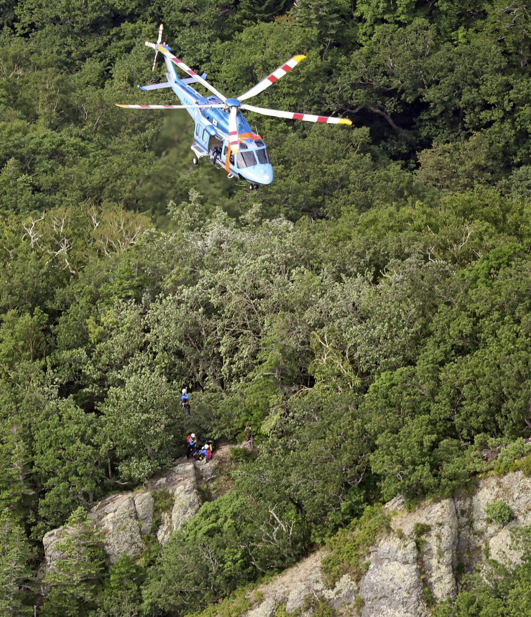 Featured image for Hiker Missing After Brown Bear Attack in Hokkaido