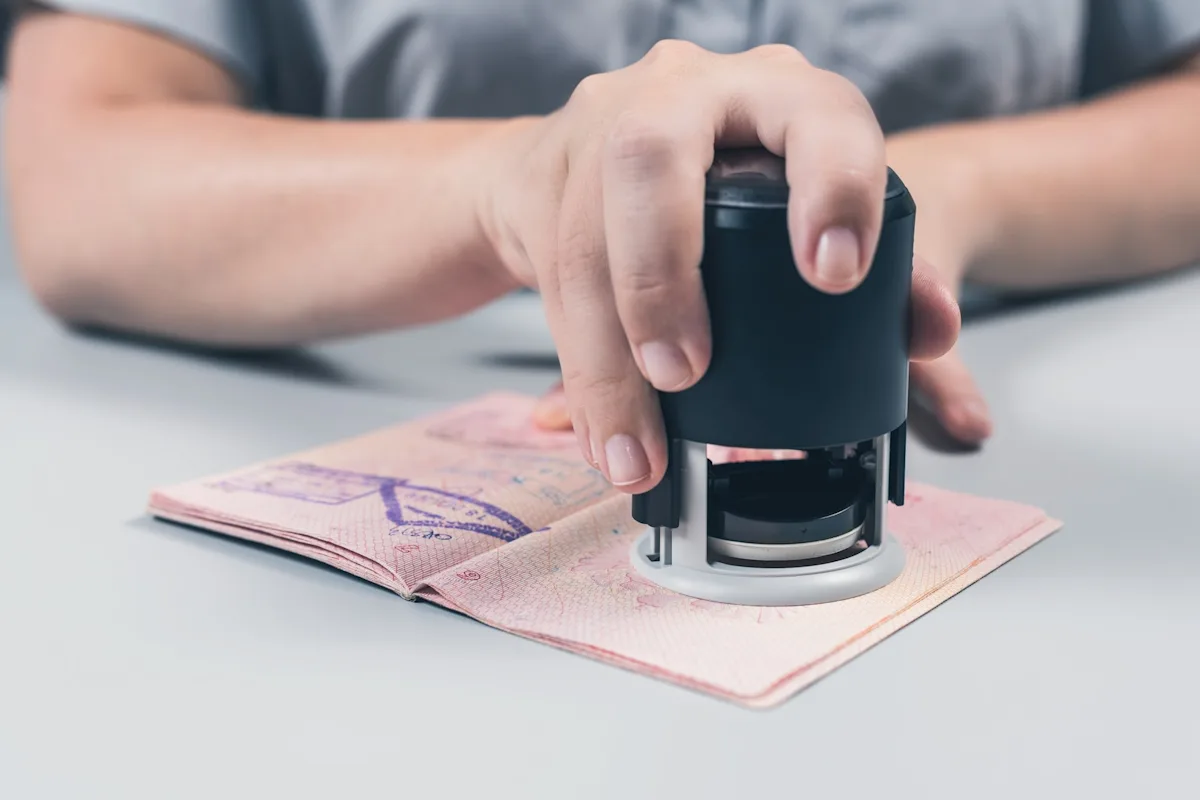 Featured image for Japan’s Bear Crisis Sparks Culinary and Conservation Concerns