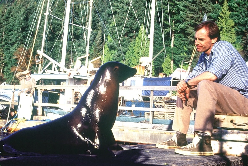 Featured image for "Rabid Seals Terrorize Cape Town Beaches Amid Widening Outbreak"