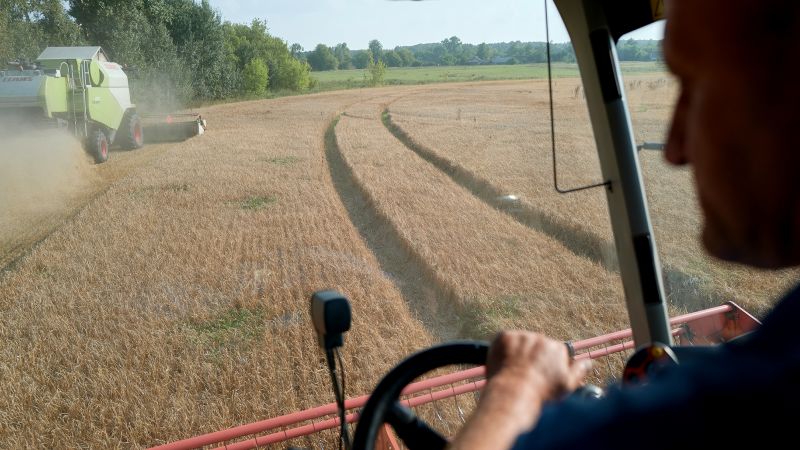 Eastern European Countries Unite to Extend Ban on Ukrainian Grain Imports