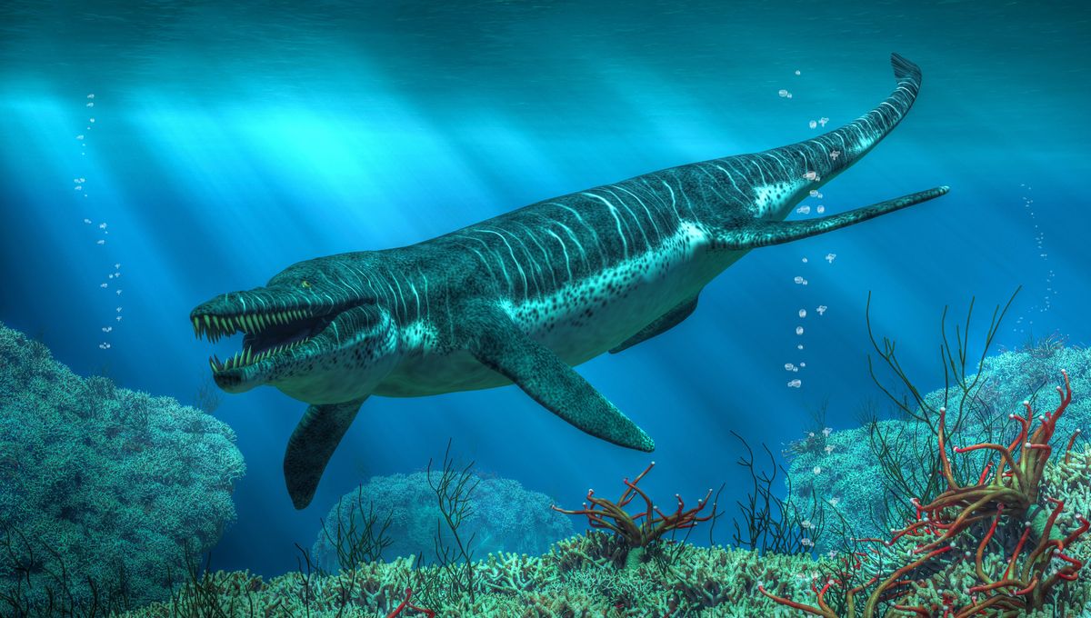 Uncovering the Massive Fossilized Sea Monster Twice the Size of a Killer Whale.
