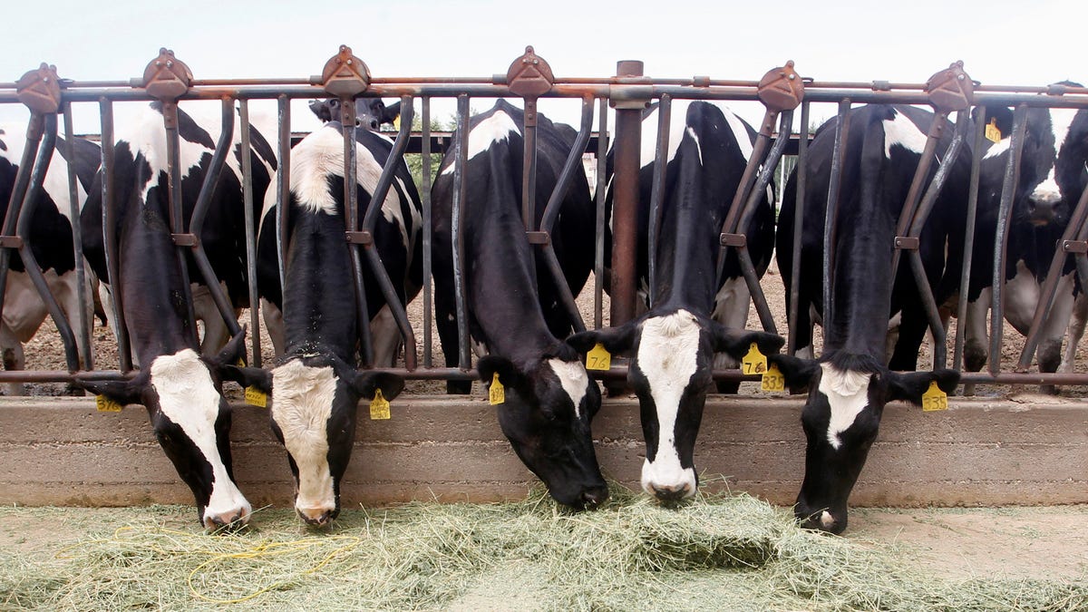 Featured image for UPenn Develops mRNA Vaccine for H5N1 Bird Flu