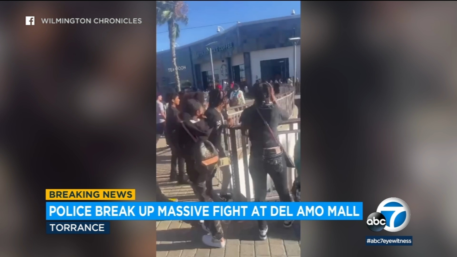 Featured image for "Massive Teen Brawl Erupts at Del Amo Fashion Center, Torrance Police Called in"