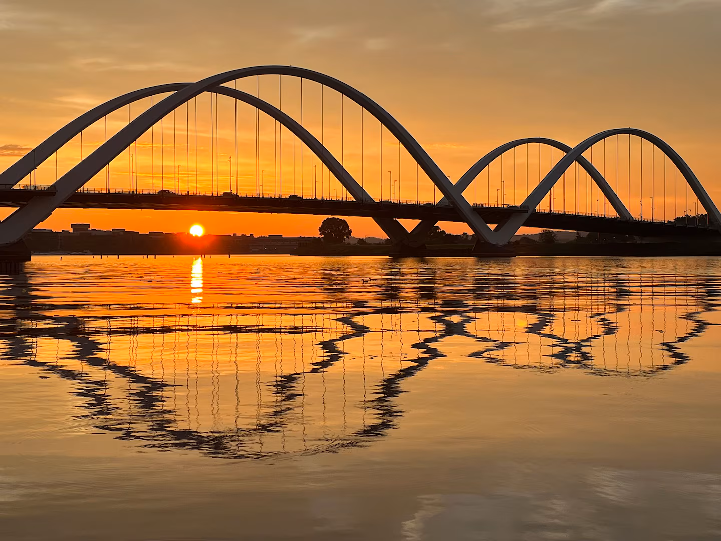 Featured image for "Continued Steamy Summer Days with Storm Chances in D.C.-Area Forecast"