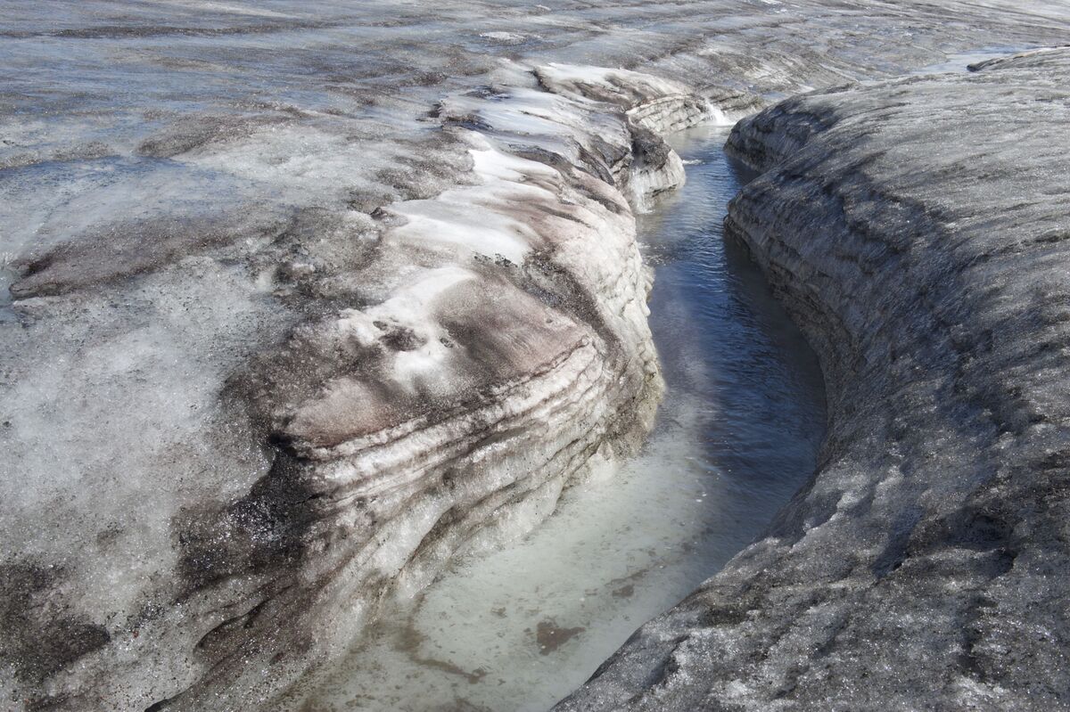 Featured image for Trump Administration's Strategic Investments in Critical Metals and Tech Stocks