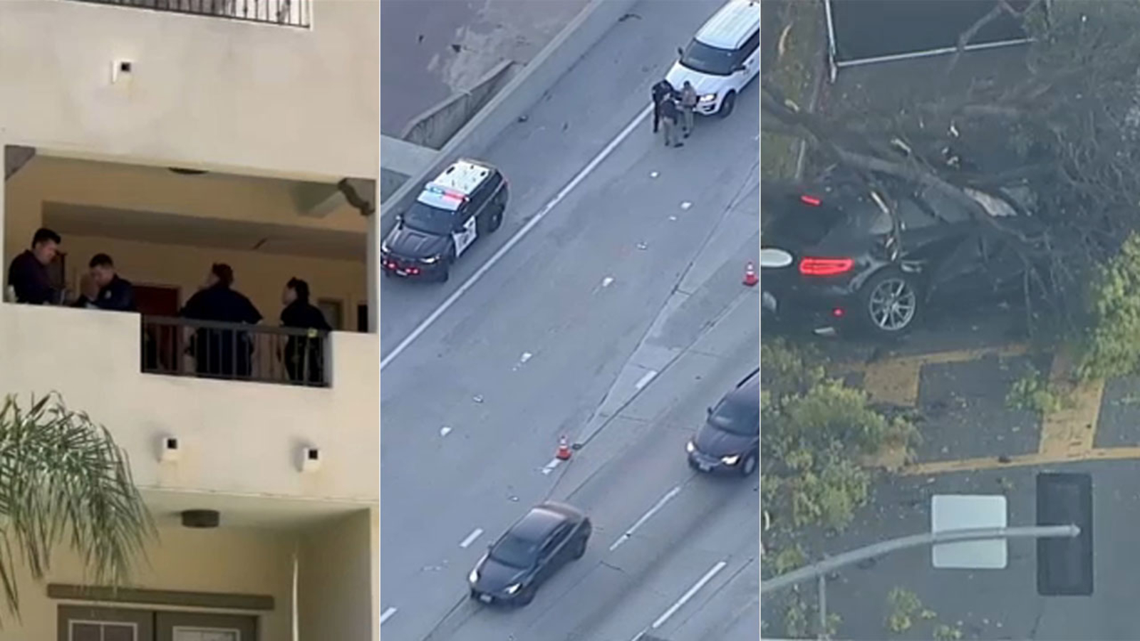 Featured image for Tragic Incidents: Murder-Suicides and Fatal Attacks in Los Angeles