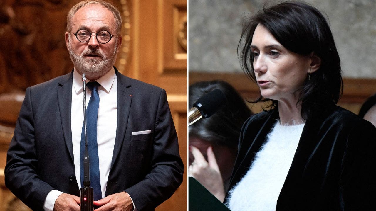French Senator Arrested for Allegedly Drugging Colleague in Rape Attempt