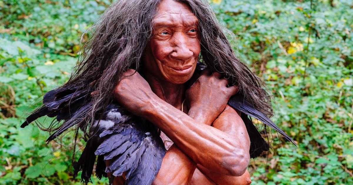 Featured image for "Unveiling the Neanderthal Mysteries: A Modern Understanding"