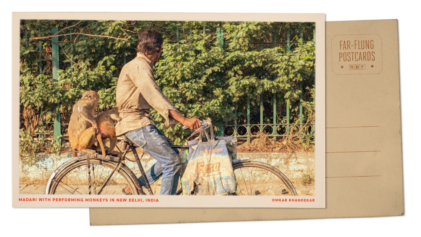 Featured image for Performing Monkeys in New Delhi Spark Joy and Debate