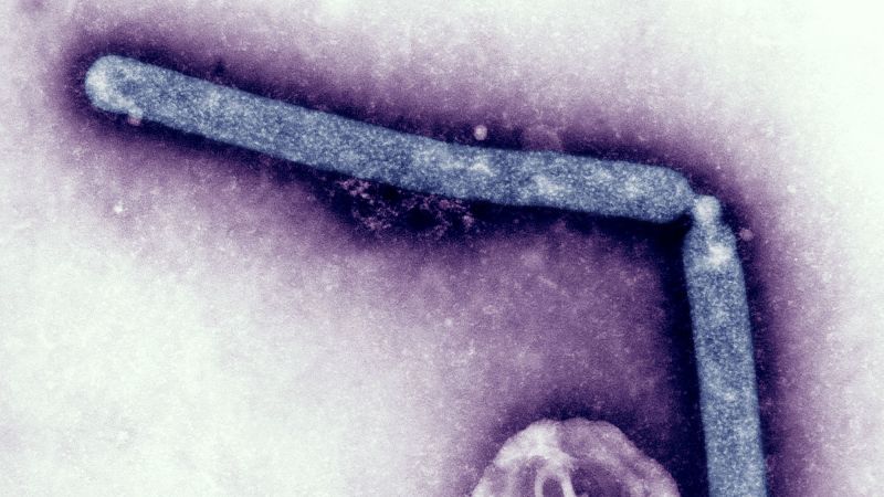 "Colorado Faces Rising Bird Flu Cases Among Poultry Workers"