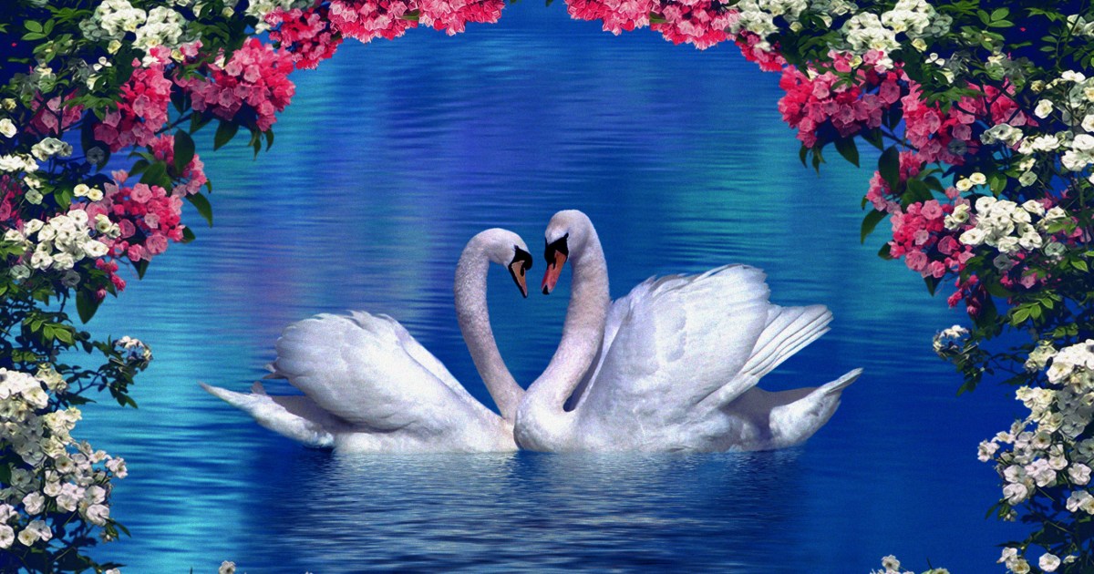 The Rise of Christian Sexual Ethics and Monogamy.