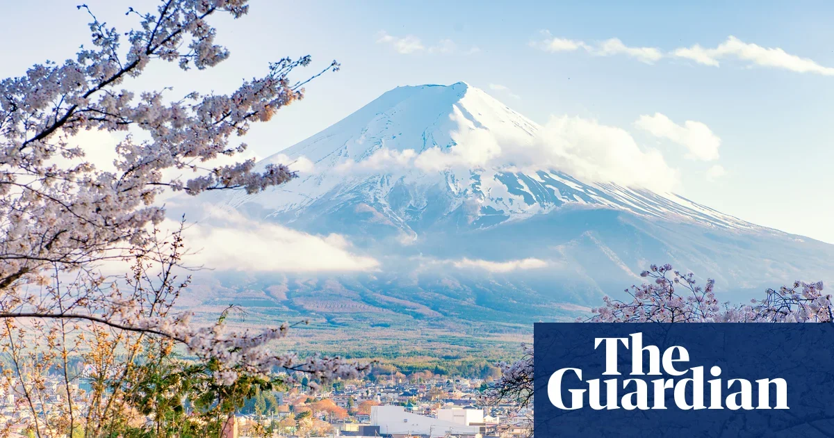 Unruly crowds force cancellation of Mount Fuji cherry blossom festival