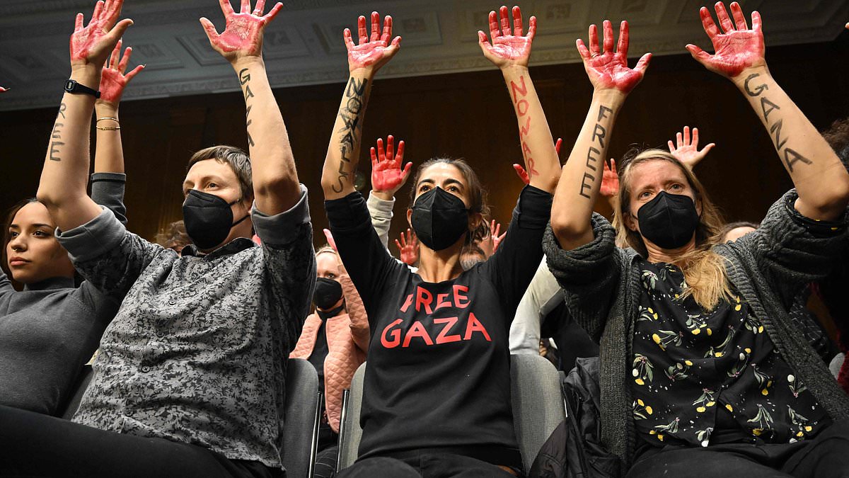 Protesters Disrupt Senate Hearing, Demand Ceasefire in Gaza