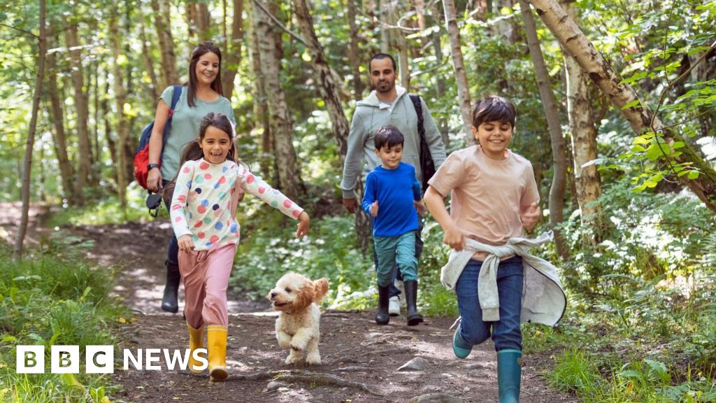 Featured image for Discovering the Mental and Physical Benefits of Spending Time in Nature