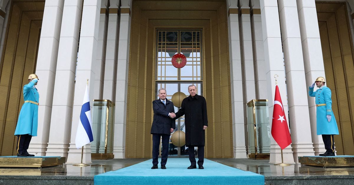 Turkey Approves Finland's NATO Membership, Leaves Sweden Waiting