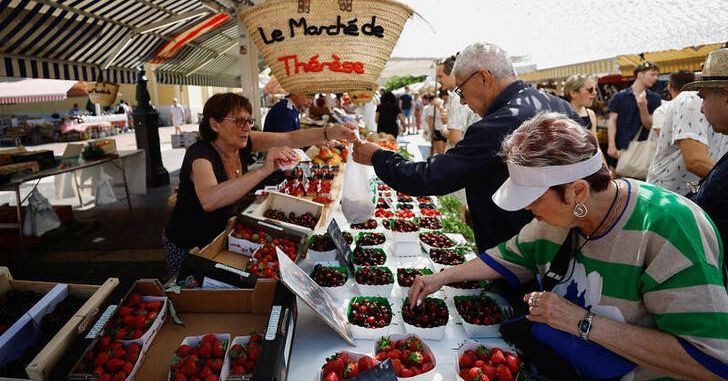 ECB Hikes Impact Euro Zone Inflation and Growth