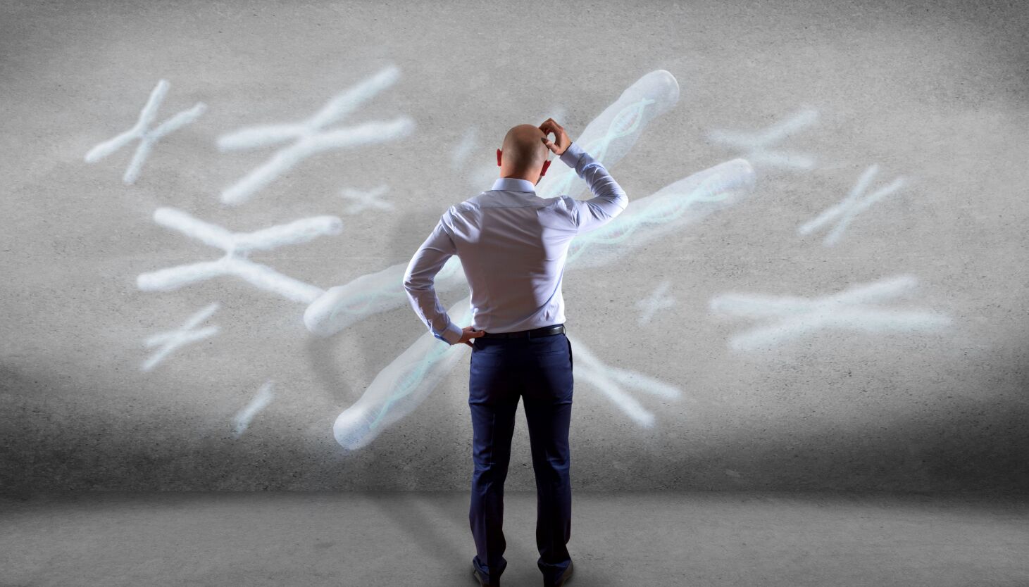 Featured image for "The Mystery of the Disappearing Y Chromosome"