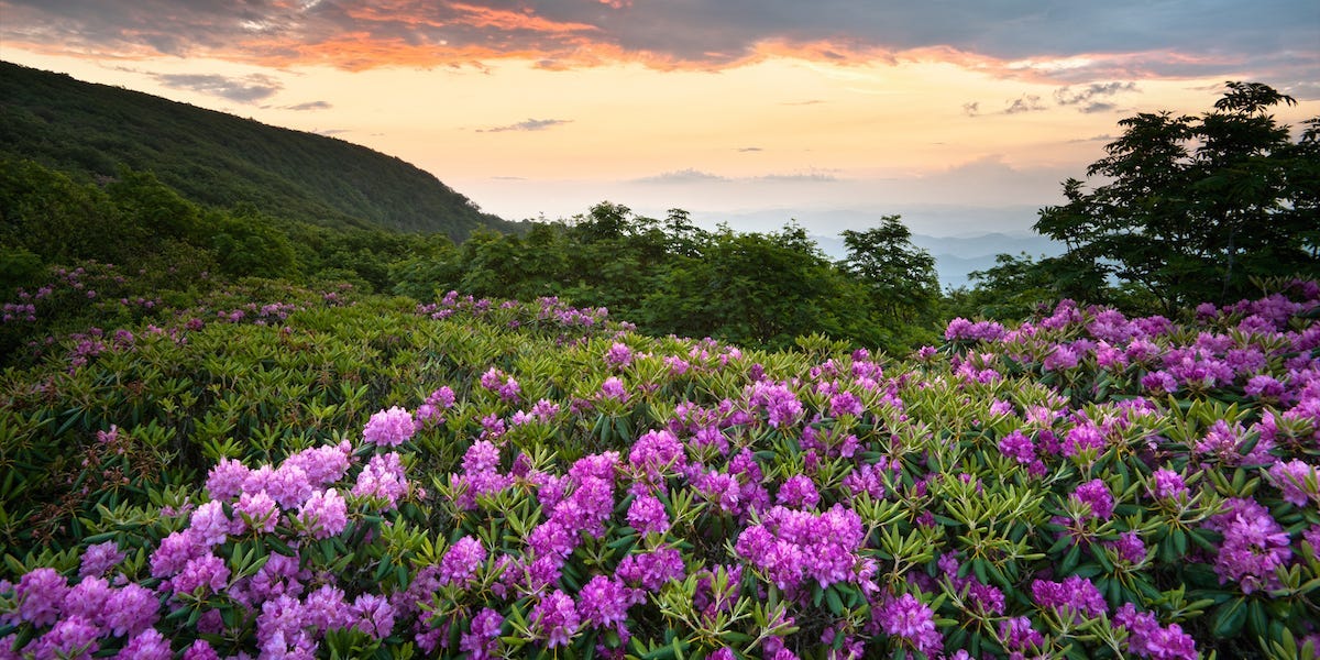 Featured image for The Shifting Landscape of Low-Wage Jobs in the US