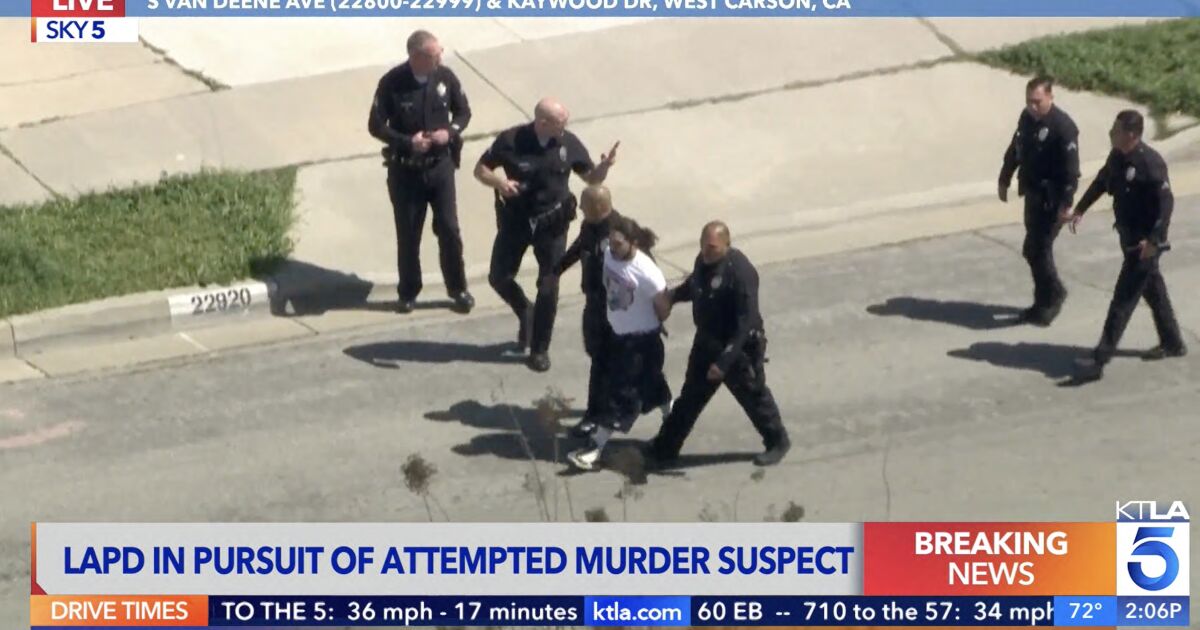 Puppy survives being thrown from car during LAPD chase