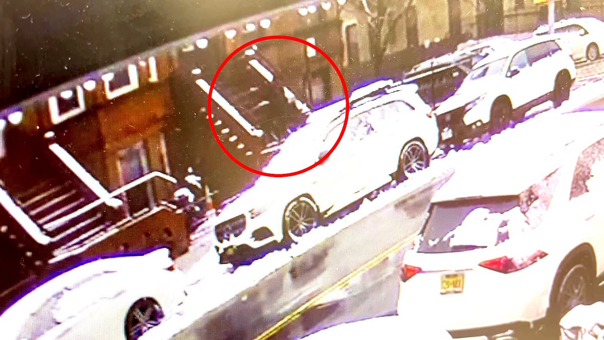 Tragic Death: Elderly Woman Killed by Falling Brick While Clearing Snow