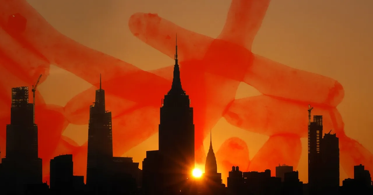 Featured image for Rising Legionnaires' Disease Outbreaks Signal Urgent Climate and Governance Concerns