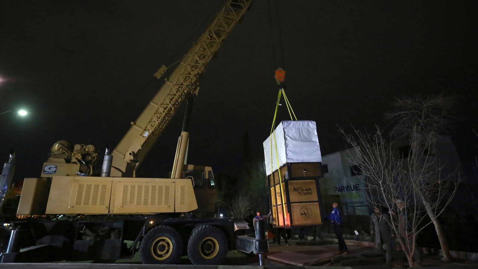 "Benito the Giraffe Relocates to Central Mexico for Better Weather"