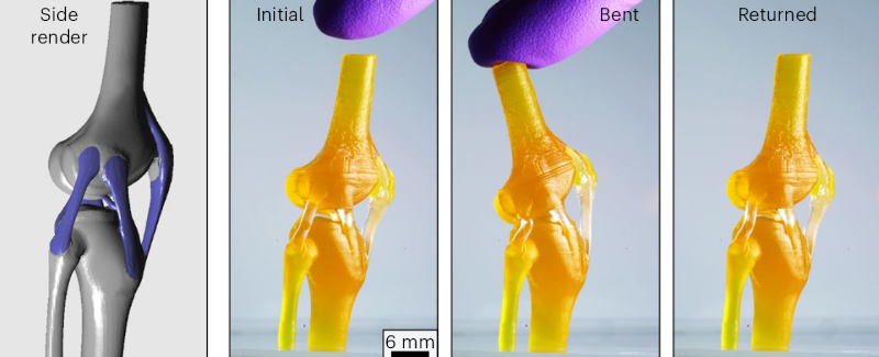 Featured image for Innovative 3D Printing Technique Merges Soft and Hard Materials for Medical and Creative Applications