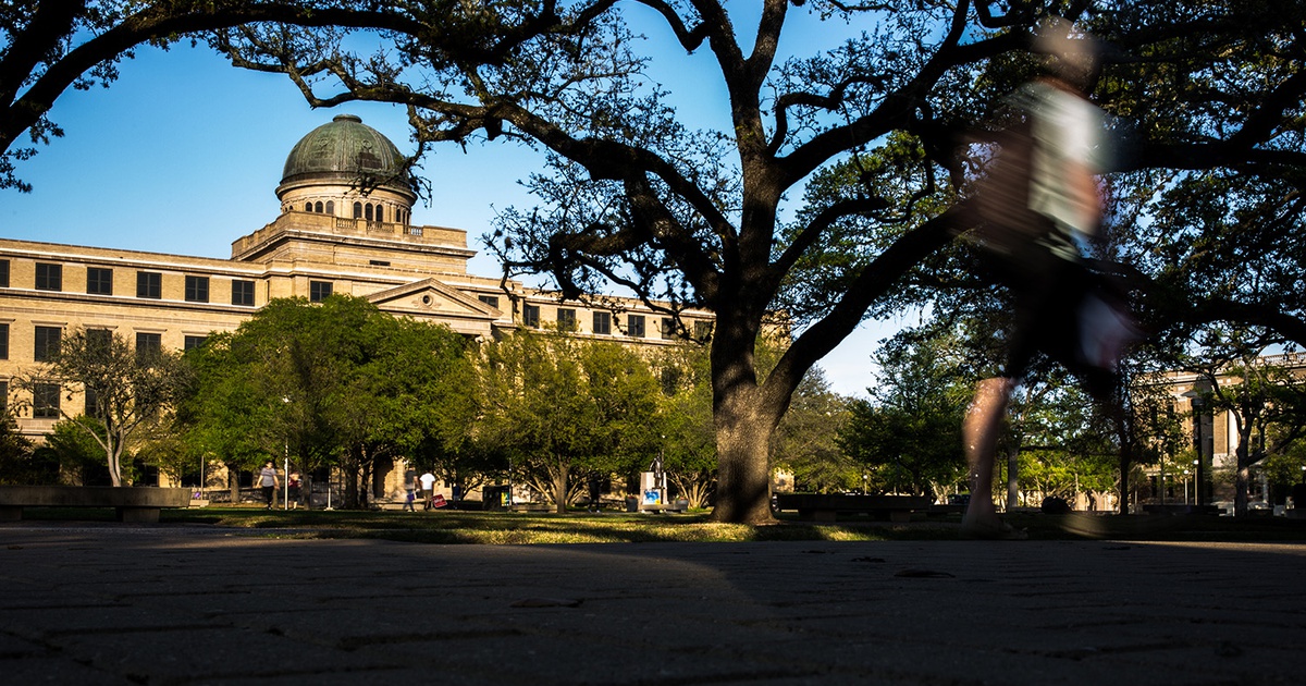 Controversial Bills Pass in Texas Senate and House Affecting University DEI Offices and School Libraries.