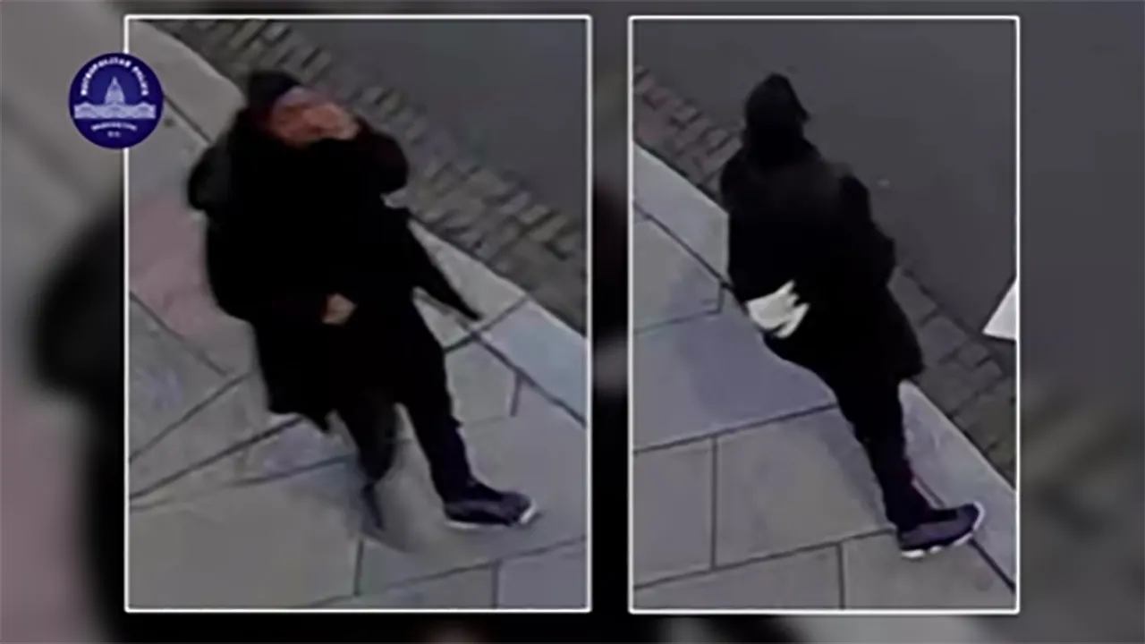 "Police Fatally Shoot Carjacking Suspect in DMV Spree"