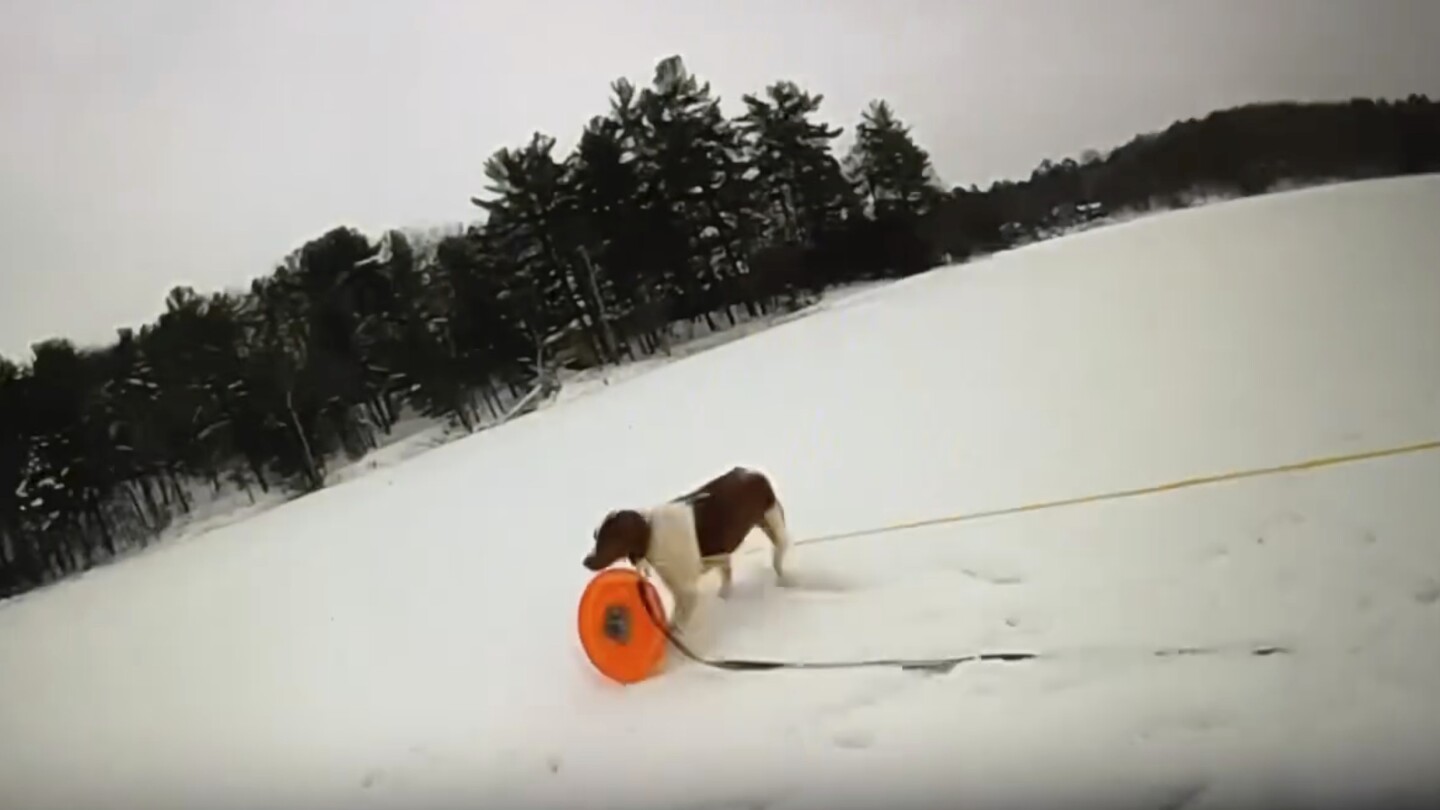 "Michigan Man Rescued from Icy Lake with Help from Officer and Dog"