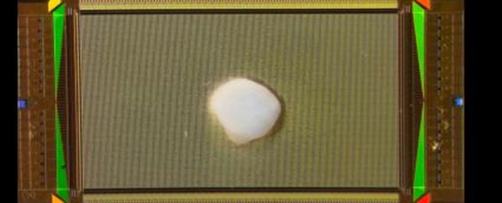 Featured image for Advancements in Biocomputing: Human Brain Tissue Powers Functional Computer