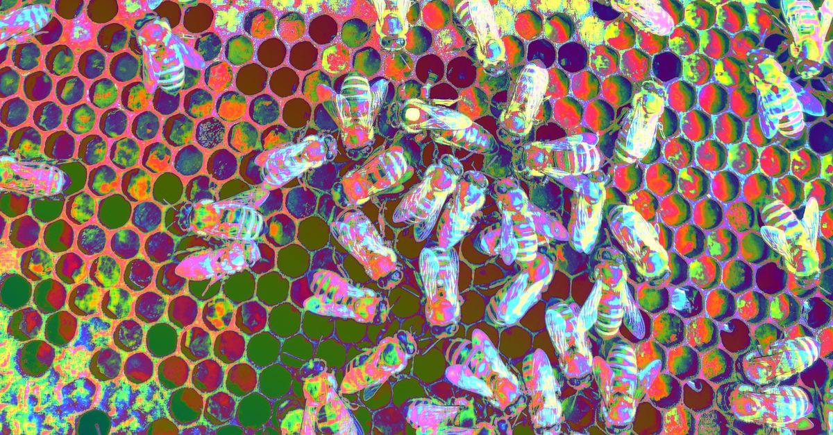 Featured image for "Ethereum's Dencun Upgrade Triggers Plunge in Gas Fees and Ether Dip"