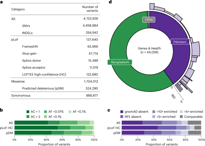 Exome sequencing of 44,028 British South Asians uncovers thousands of rare knockouts and novel gene–phenotype links