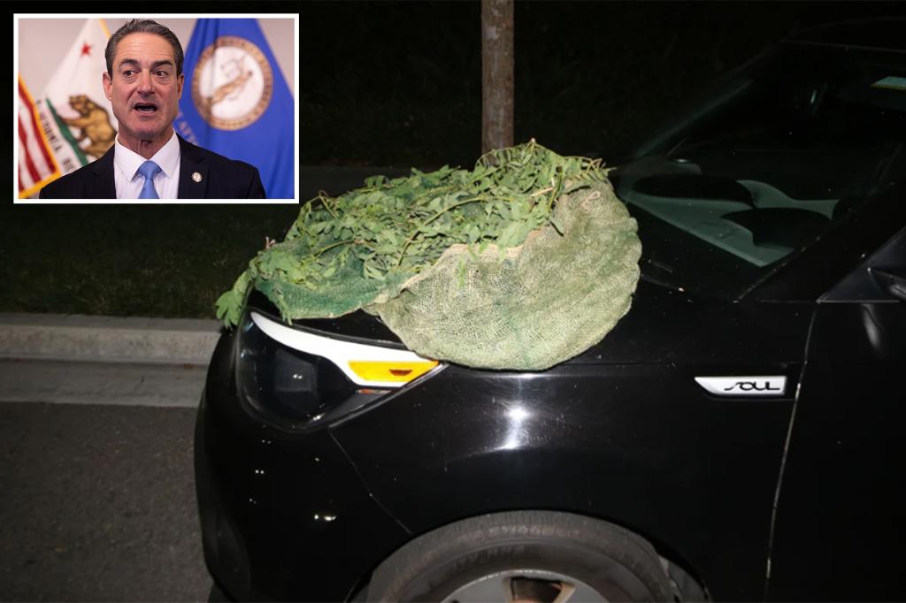 Featured image for "South American Heist Rings Utilize Ghillie Suits in US Mansion Robberies"