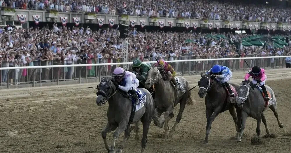 Belmont Park sees consecutive horse fatalities during Triple Crown season.
