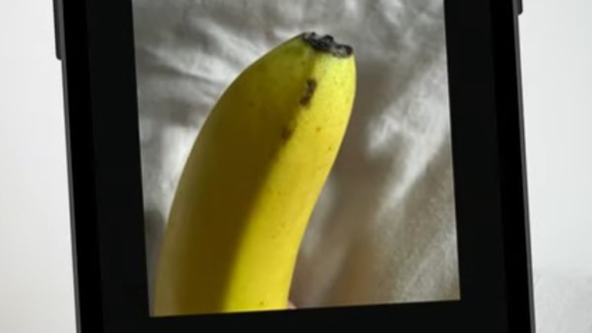 "Controversy Surrounds AI-Powered STI Detection App's Privacy and Consent Issues"
