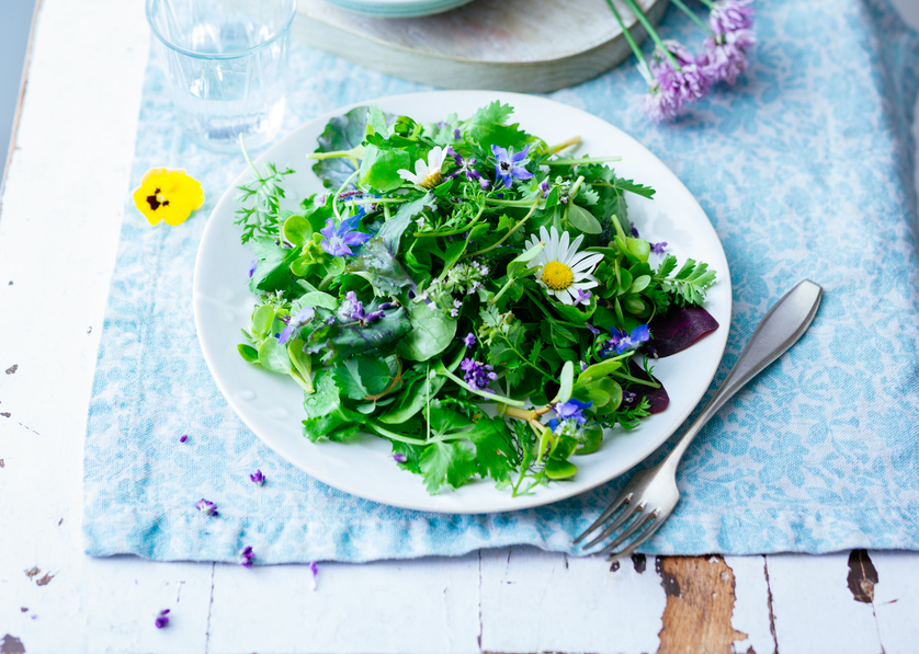 Boost Brain Health and Memory with More Gotu Kola in Your Meals