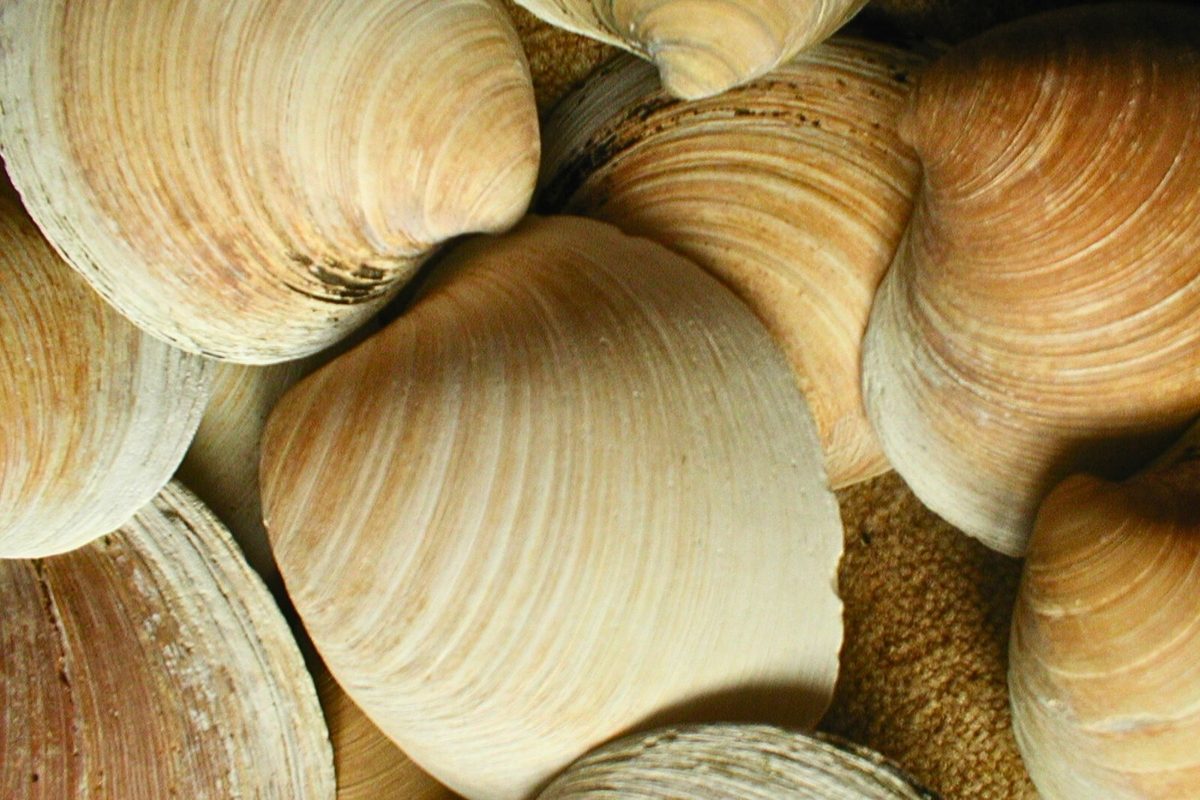 Featured image for North Atlantic Ocean Currents Show Signs of Critical Instability, Threatening Climate Stability