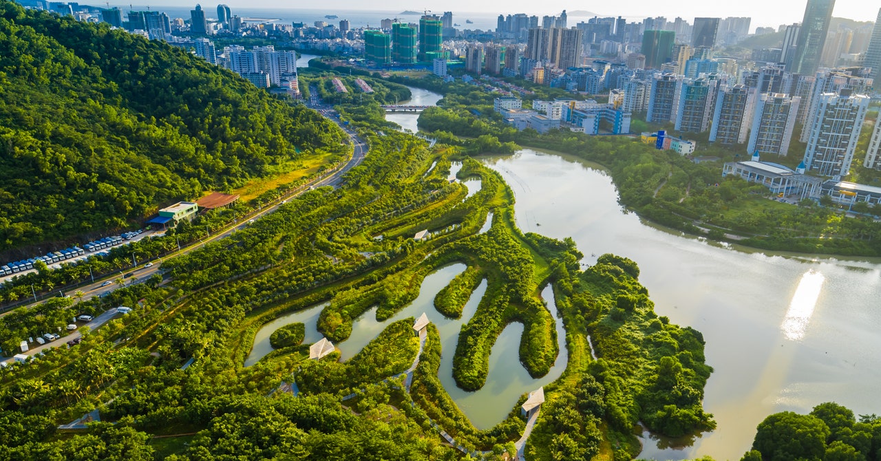 Featured image for "Sponge City: The Designer's Urban Transformation Mission"