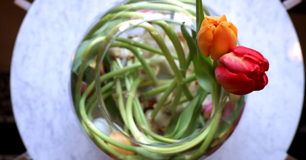 Featured image for "Jan. 10, 2024: NYT Crossword Answers Revealed"