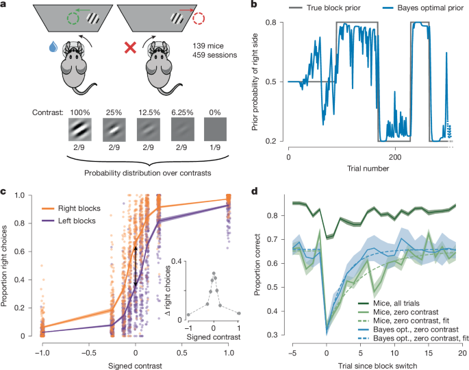 Featured image for Comprehensive Brain Maps Reveal Decision-Making Dynamics