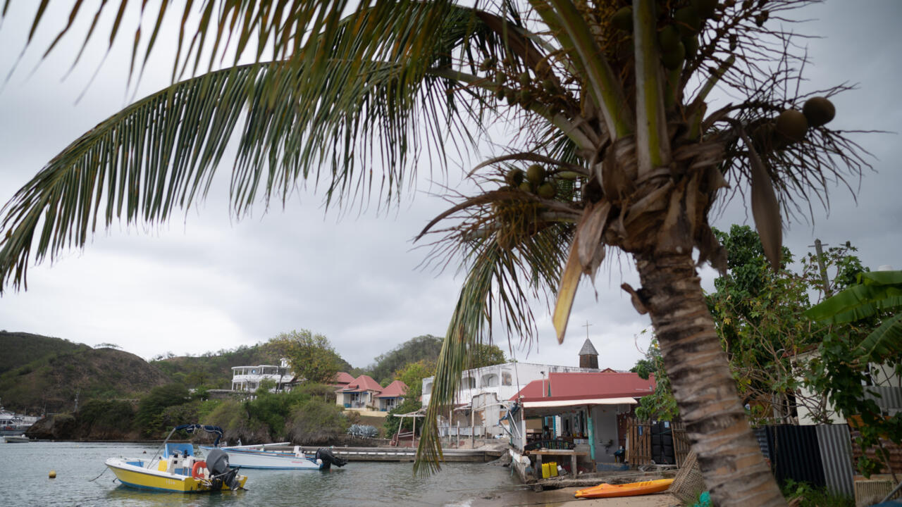 Featured image for French Scientists Discover New Blood Type in Guadeloupe Woman