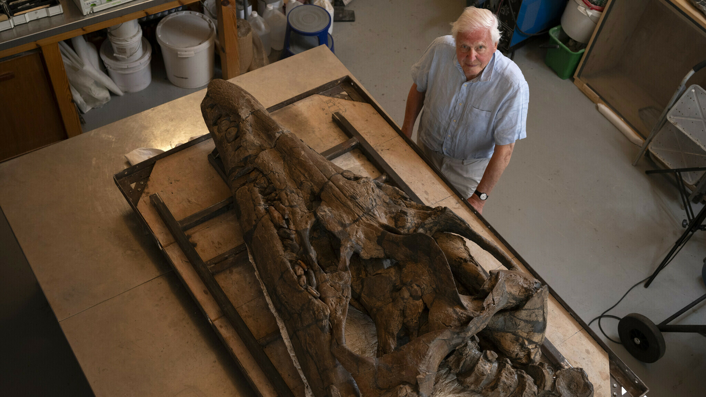 Featured image for Ancient Sea Monster Skull Unearthed in UK