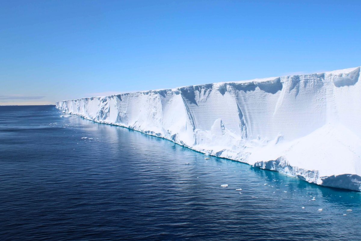 Featured image for Hidden Antarctic Fish Nests Revealed by Underwater Robots