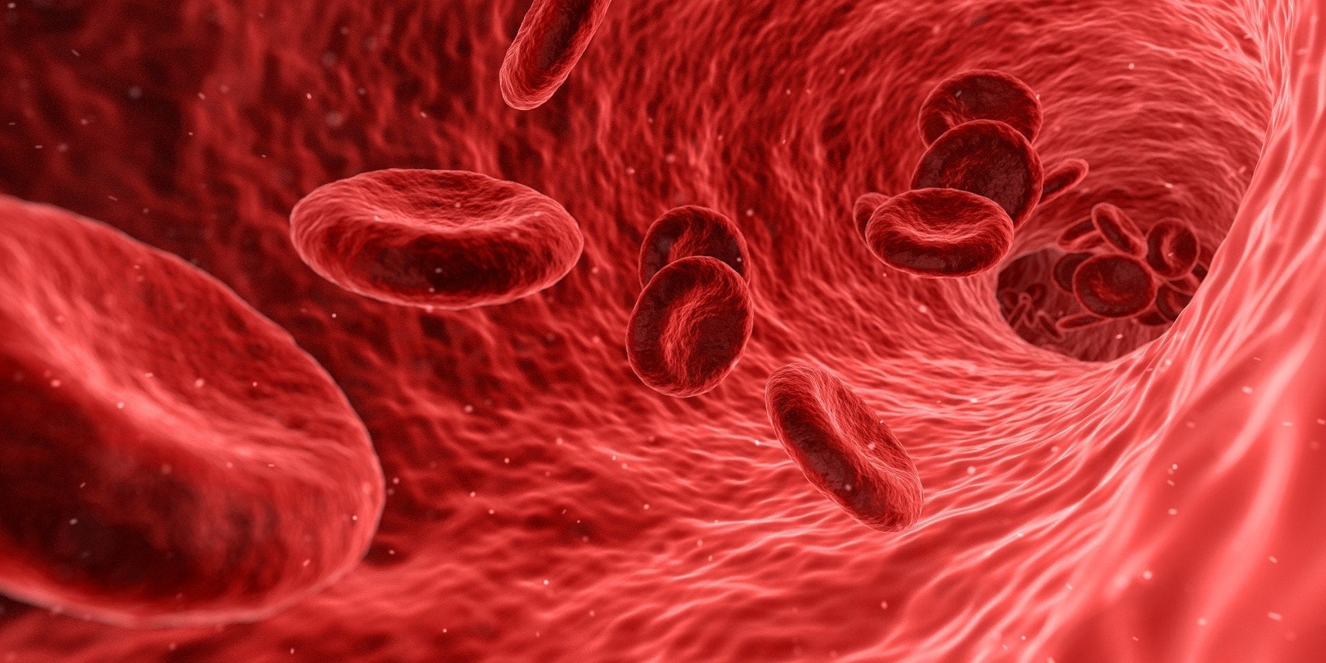 Featured image for Restricted Blood Flow Accelerates Tumor Growth by Aging the Immune System